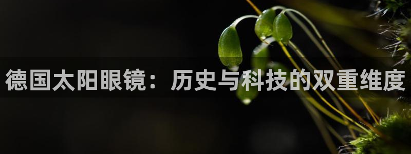 辉达平台官网下载