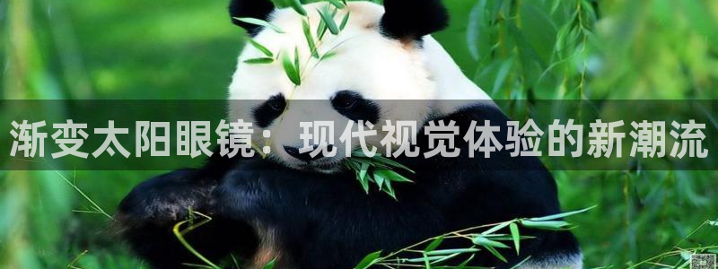 辉达娱乐最新消息新闻
