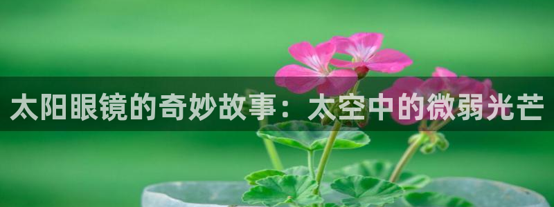 辉达娱乐五75505