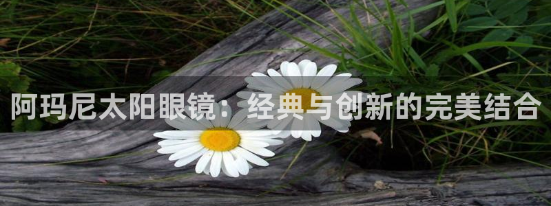 辉达娱乐体育竞猜