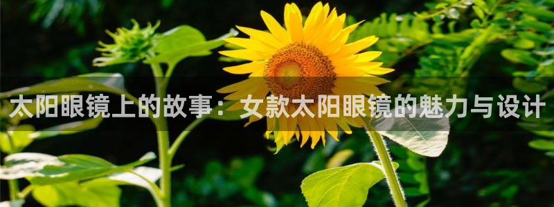 辉达娱乐加q75775稳定