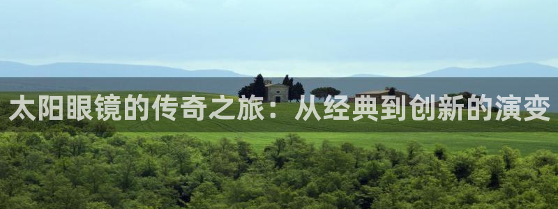 辉达娱乐公司
