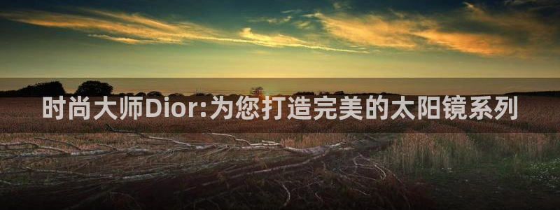 辉达娱乐待遇