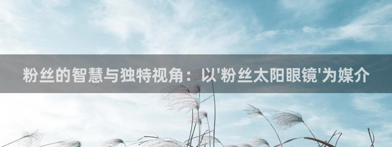 辉达娱乐最新消息新闻