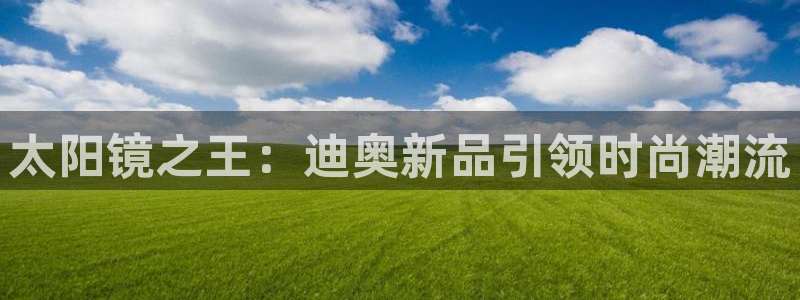 代理辉达娱乐平台