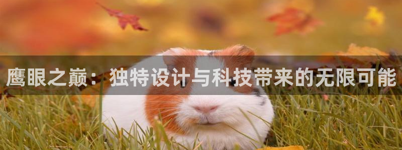 辉达娱乐体彩