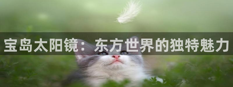 辉达娱乐己39444