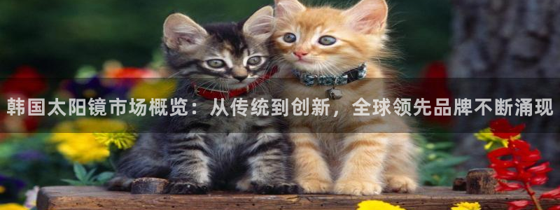 辉达娱乐正规吗