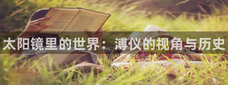 辉达娱乐分红