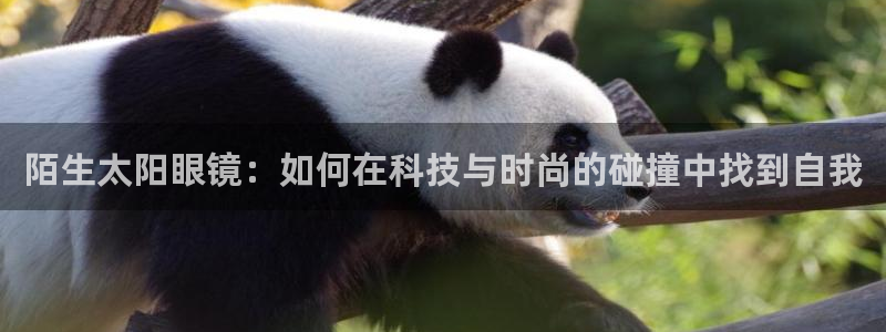 辉达娱乐时时彩