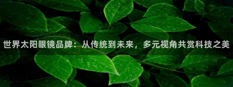 辉达娱乐丶75505