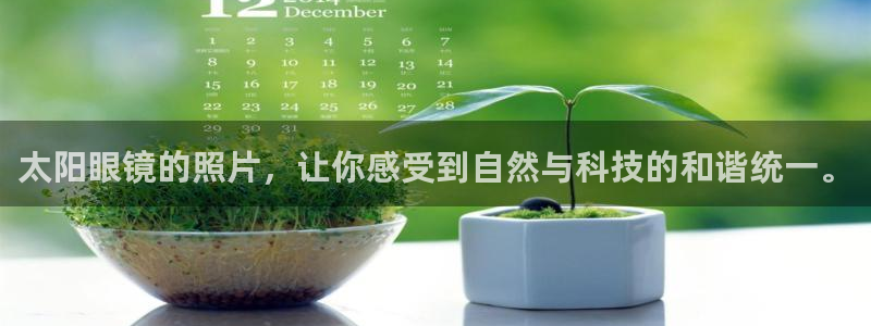 达利娱乐王辉