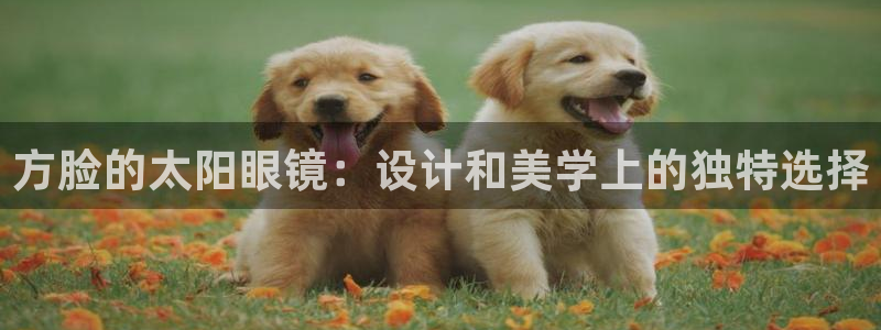 辉达娱乐排列三