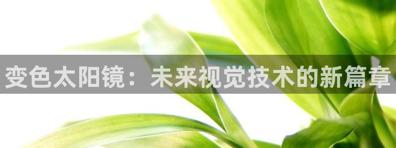 辉达娱乐最新版本更新内容