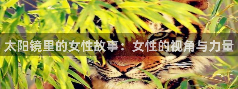 辉达娱乐ag游戏平台