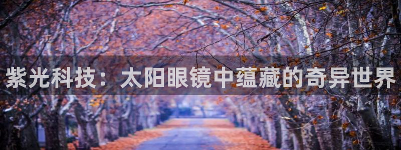 辉达娱乐招商