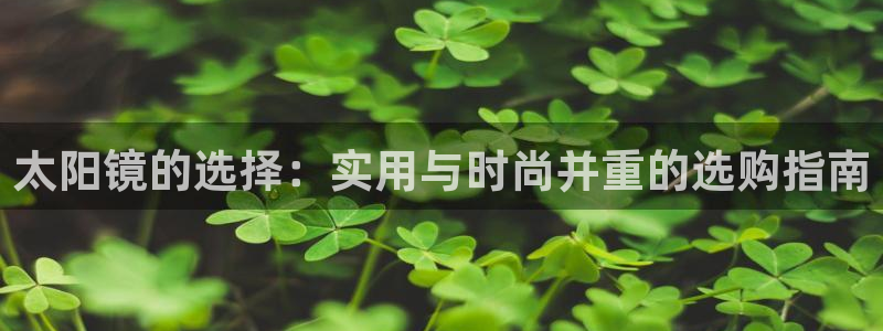 辉达娱乐网址