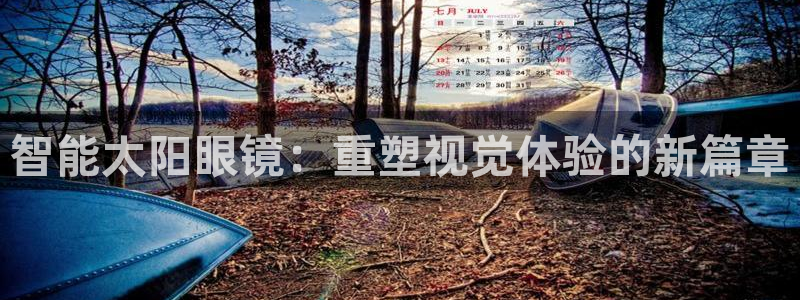 辉达娱乐检测