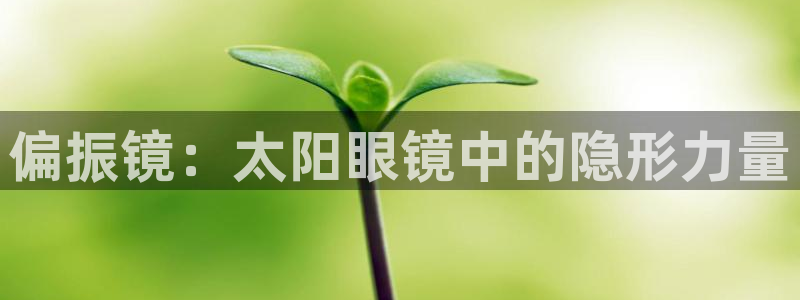 辉达娱乐ag游戏平台