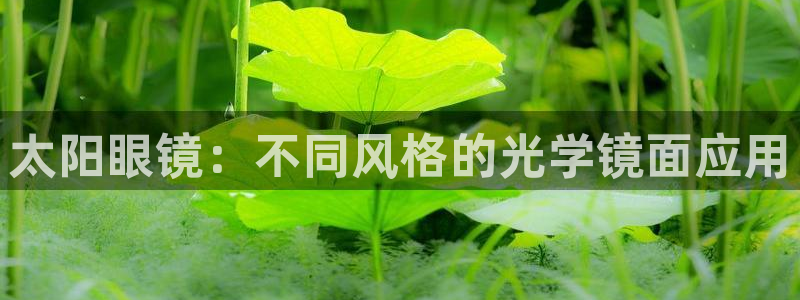 辉达娱乐体育竞猜