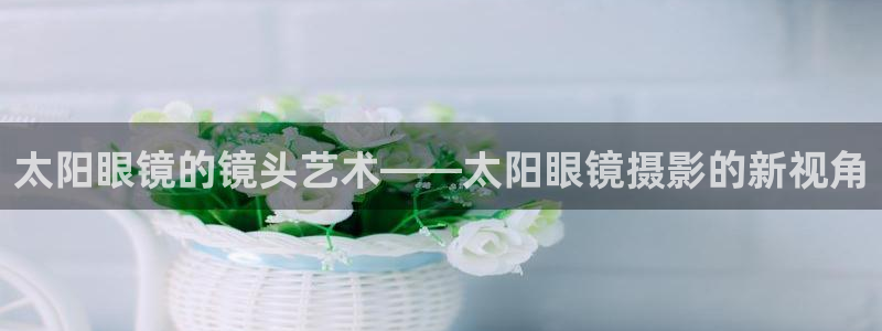 辉达娱乐计划软件