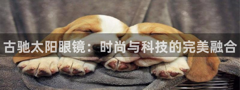 辉达娱乐排列三