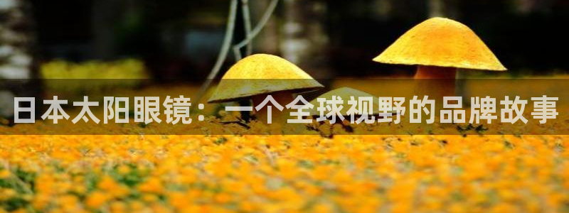 辉达娱乐最新消息新闻