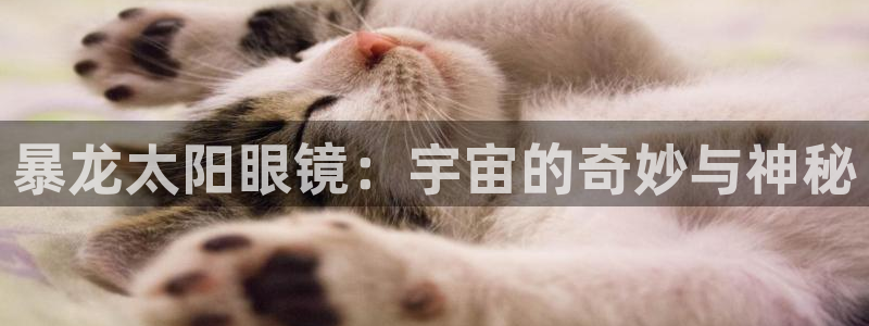 辉达娱乐加q75775稳定