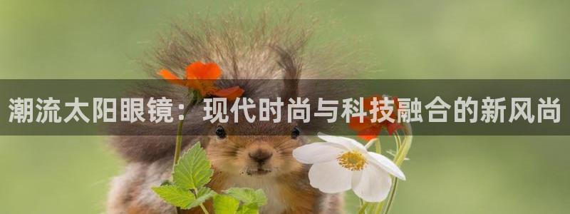 辉达娱乐游戏.直开.中国