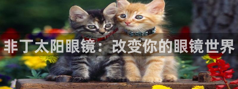 代理辉达娱乐官方网址