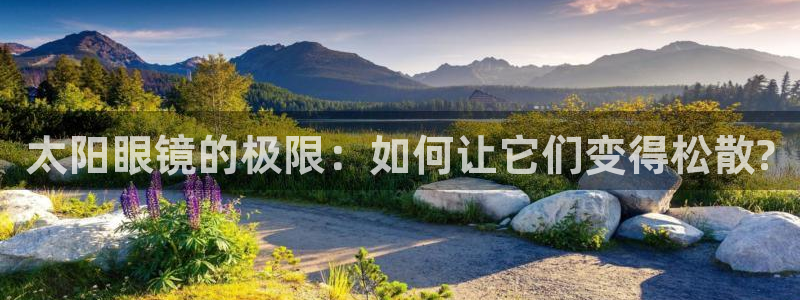 辉达平台官网电话