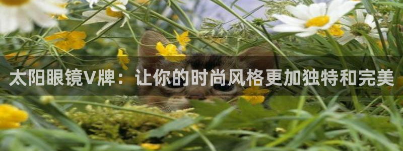 辉达娱乐新疆时时彩