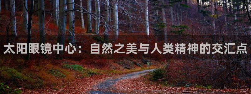 辉达娱乐己39444