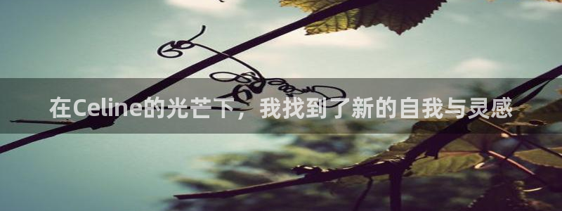 辉达娱乐线路检测