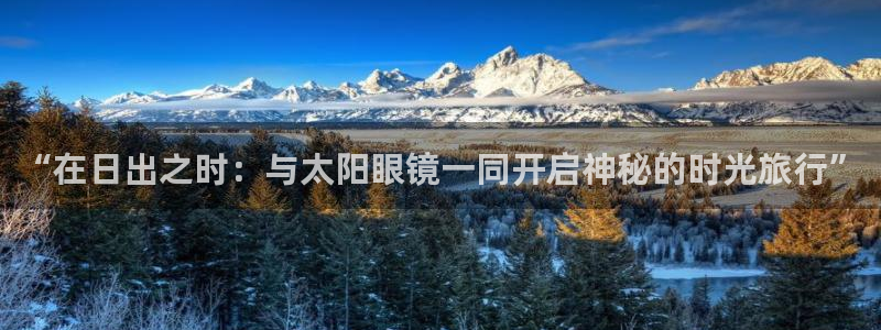 辉达娱乐五75505