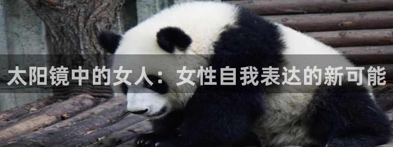 专业辉达娱乐官方网址