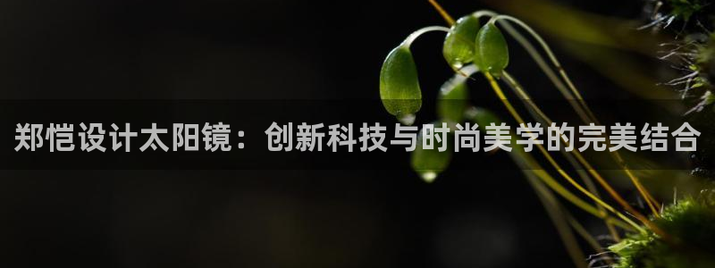 辉达娱乐时时彩平台