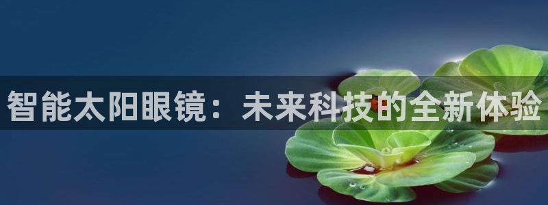 辉达娱乐衤39444