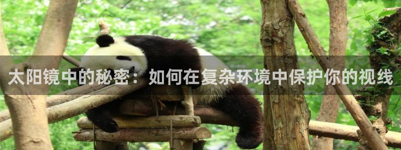 辉达娱乐重庆时时彩