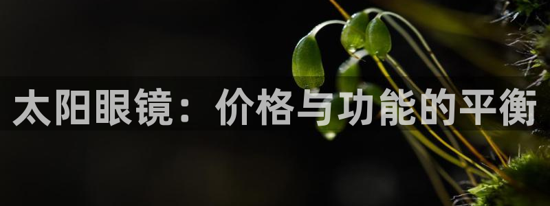 专业辉达娱乐官方网址