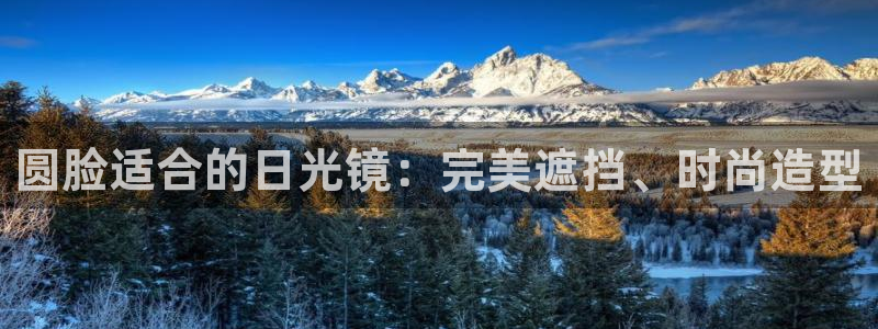 辉达平台娱乐怎么样