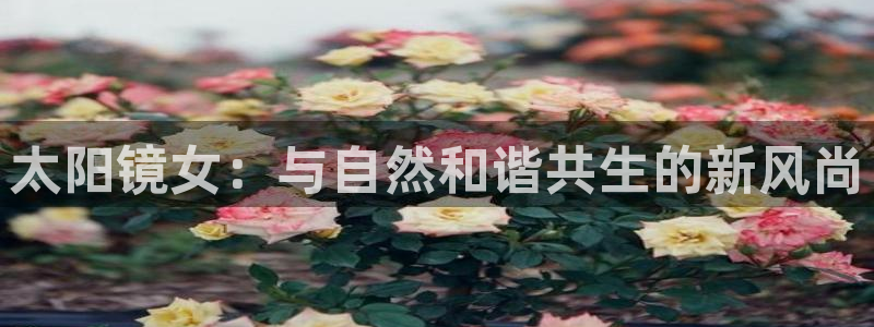 辉达娱乐时时彩平台