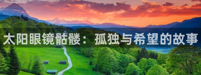 辉达平台官网首页