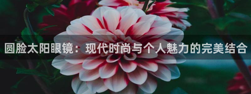 龙腾辉达电子娱乐