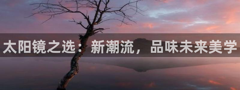 辉达怎么样