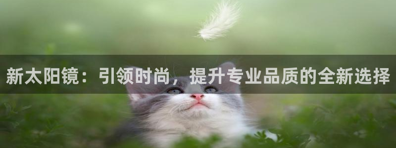 代理辉达娱乐官方网址