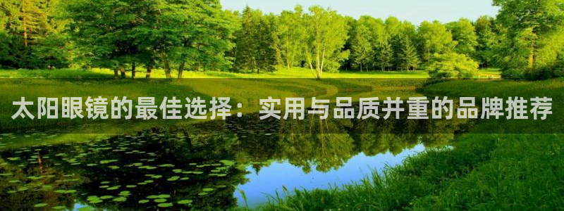辉达怎么样