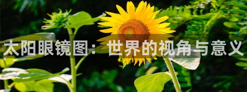 辉达娱乐彳75775