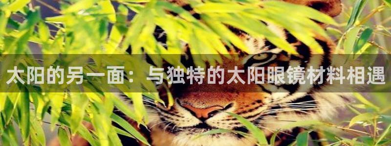 辉达平台官网首页