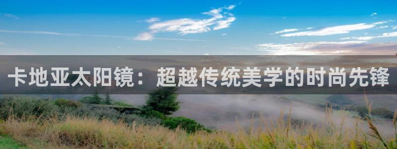 辉达娱乐app